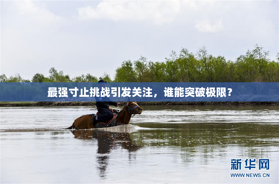 最强寸止挑战引发关注，谁能突破极限？