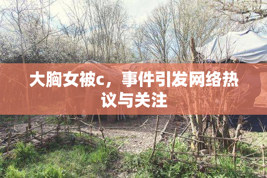 大胸女被c，事件引发网络热议与关注
