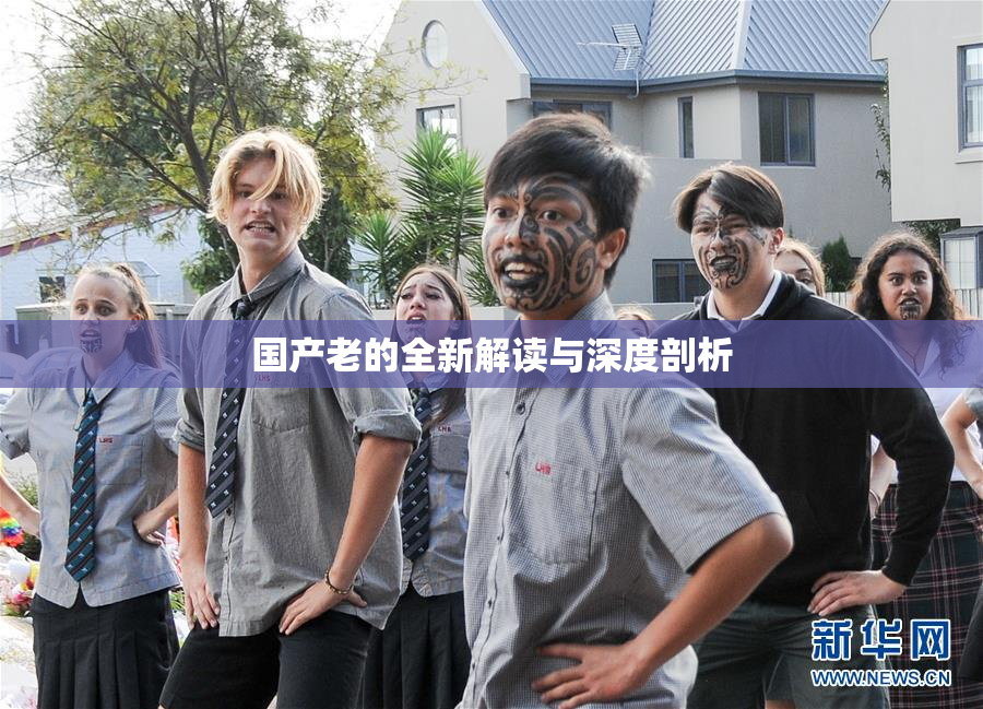 国产老的全新解读与深度剖析