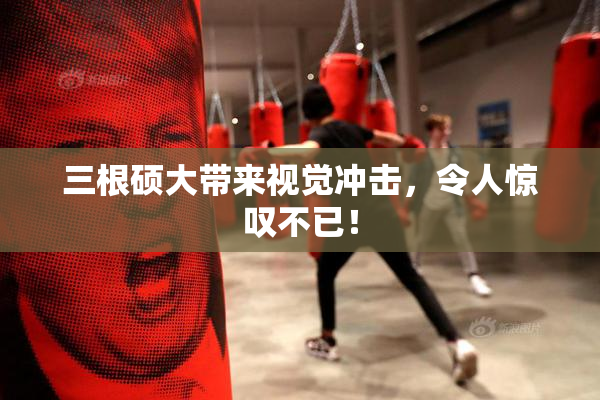 三根硕大带来视觉冲击，令人惊叹不已！