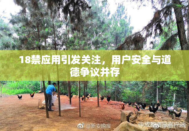 18禁应用引发关注，用户安全与道德争议并存