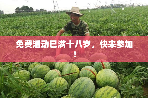 免费活动已满十八岁，快来参加！