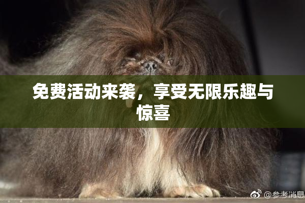 免费活动来袭，享受无限乐趣与惊喜