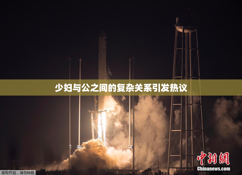 少妇与公之间的复杂关系引发热议