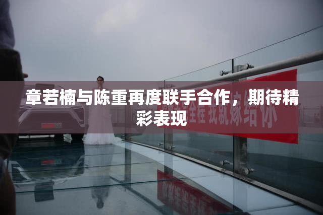 章若楠与陈重再度联手合作，期待精彩表现