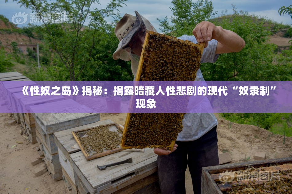 《性奴之岛》揭秘：揭露暗藏人性悲剧的现代“奴隶制”现象