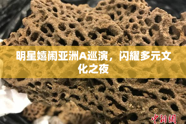 明星嬉闹亚洲A巡演，闪耀多元文化之夜