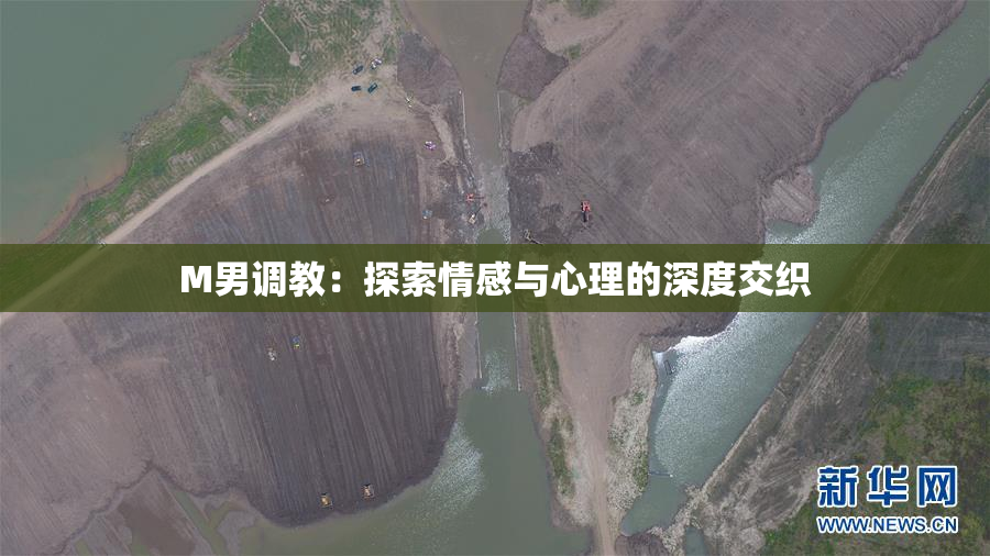 M男调教：探索情感与心理的深度交织