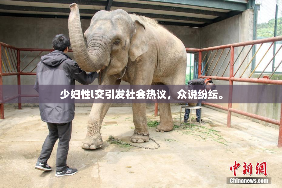 少妇性l交引发社会热议，众说纷纭。