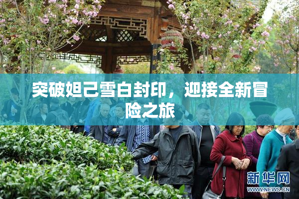 突破妲己雪白封印，迎接全新冒险之旅