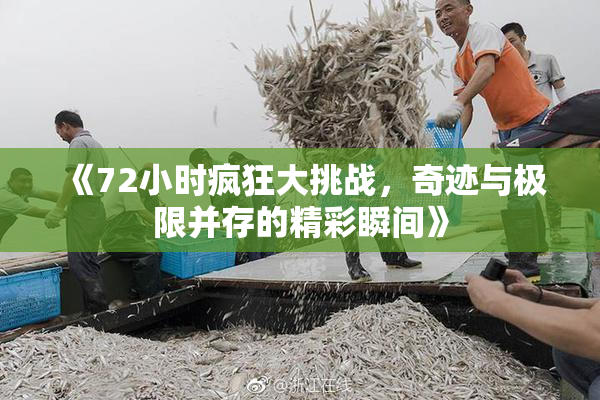 《72小时疯狂大挑战，奇迹与极限并存的精彩瞬间》
