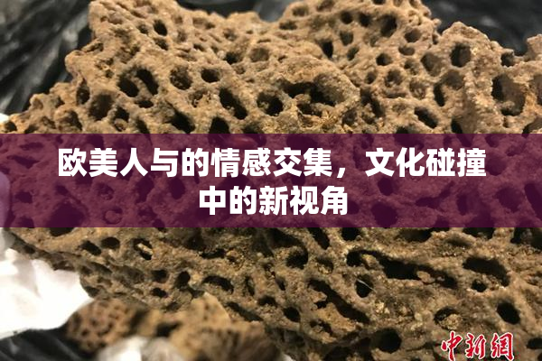 欧美人与的情感交集，文化碰撞中的新视角