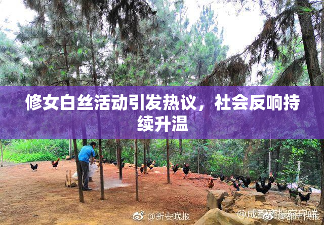 修女白丝活动引发热议，社会反响持续升温