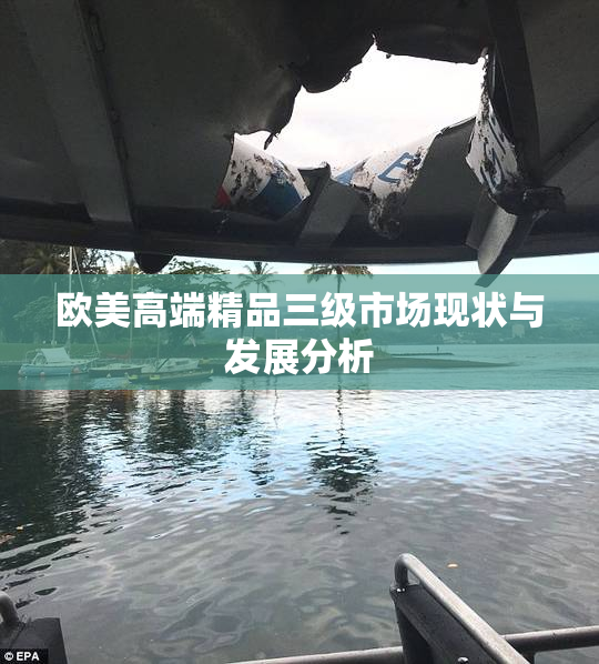欧美高端精品三级市场现状与发展分析