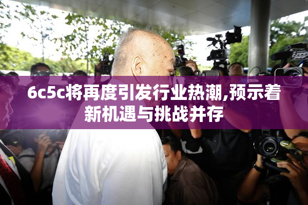 6c5c将再度引发行业热潮,预示着新机遇与挑战并存