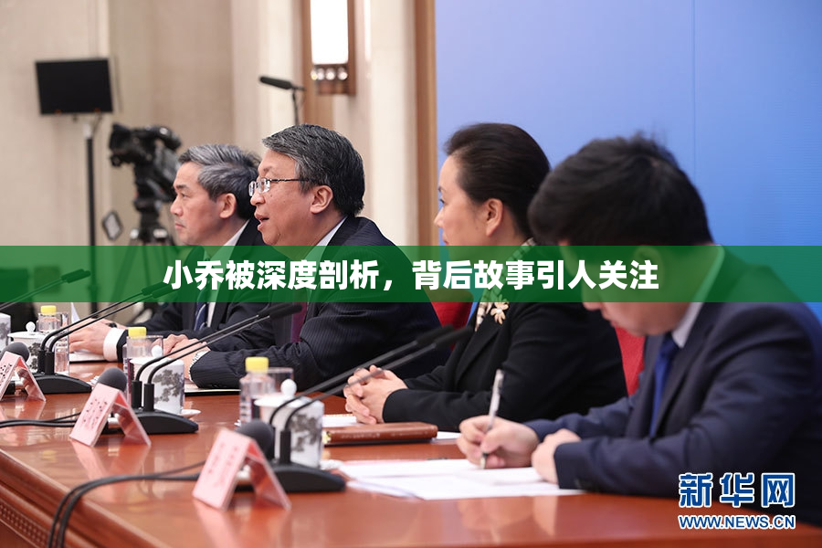 小乔被深度剖析，背后故事引人关注