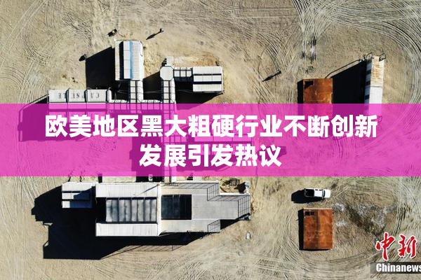 欧美地区黑大粗硬行业不断创新发展引发热议