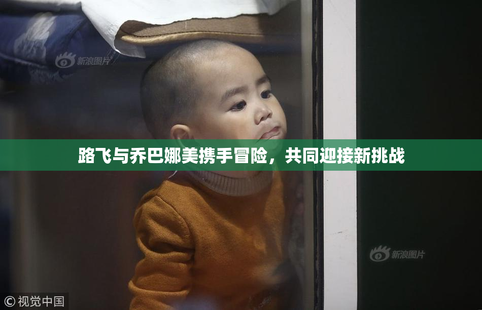 路飞与乔巴娜美携手冒险，共同迎接新挑战