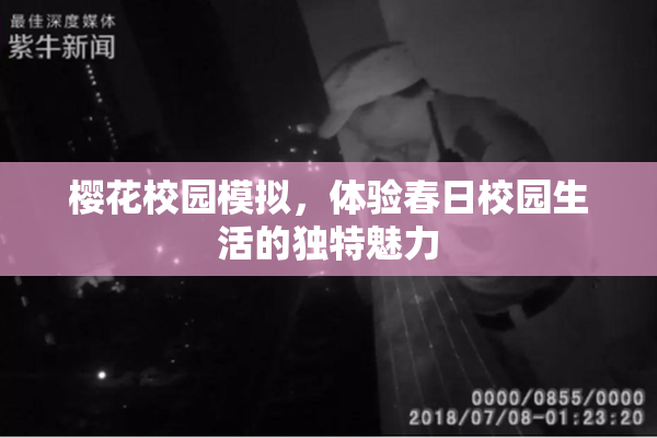 樱花校园模拟，体验春日校园生活的独特魅力