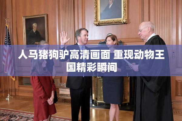人马猪狗驴高清画面 重现动物王国精彩瞬间