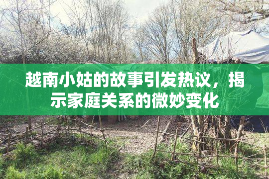 越南小姑的故事引发热议，揭示家庭关系的微妙变化