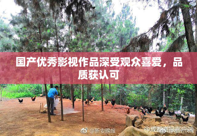 国产优秀影视作品深受观众喜爱，品质获认可