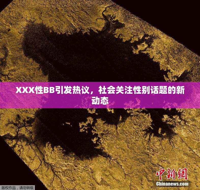 XXX性BB引发热议，社会关注性别话题的新动态