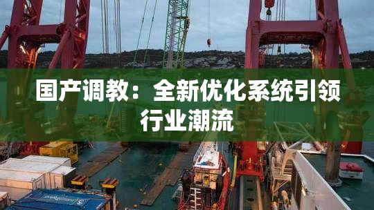 国产调教：全新优化系统引领行业潮流