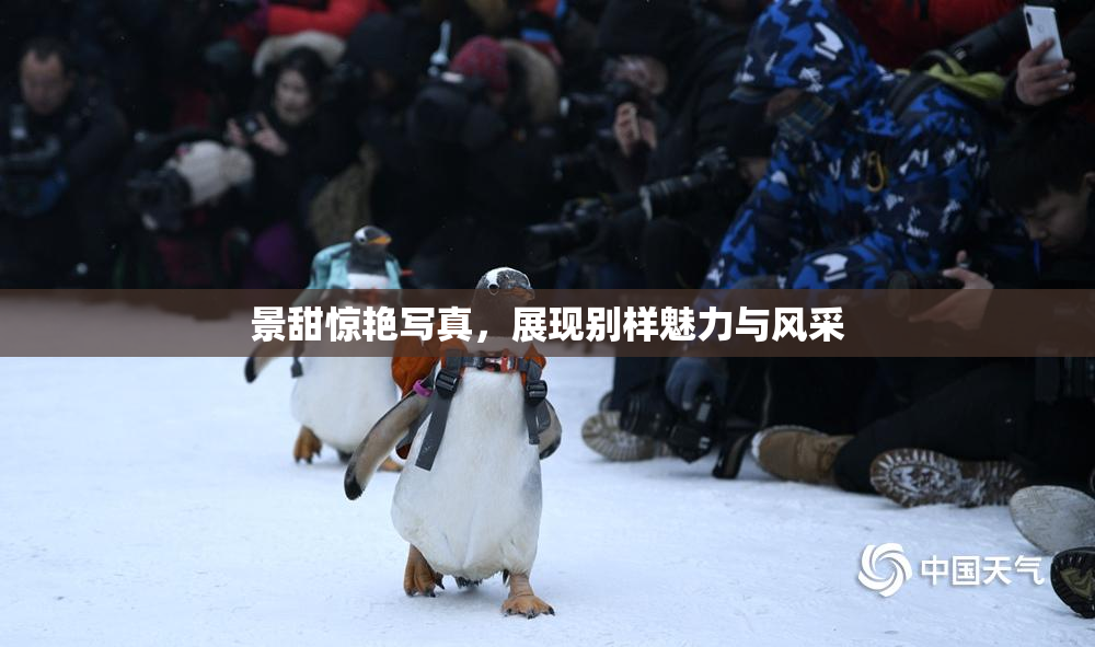 景甜惊艳写真，展现别样魅力与风采