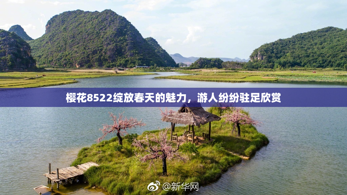 樱花8522绽放春天的魅力，游人纷纷驻足欣赏
