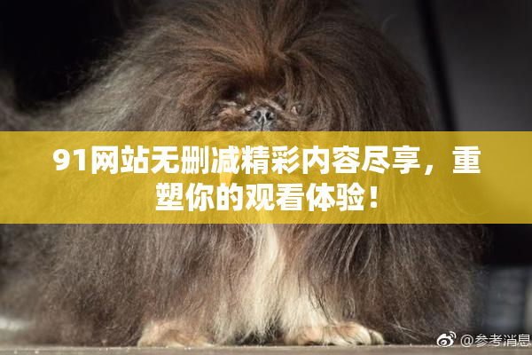 91网站无删减精彩内容尽享，重塑你的观看体验！