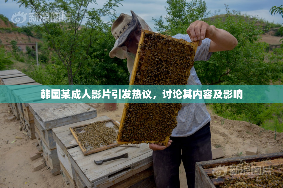 韩国某成人影片引发热议，讨论其内容及影响