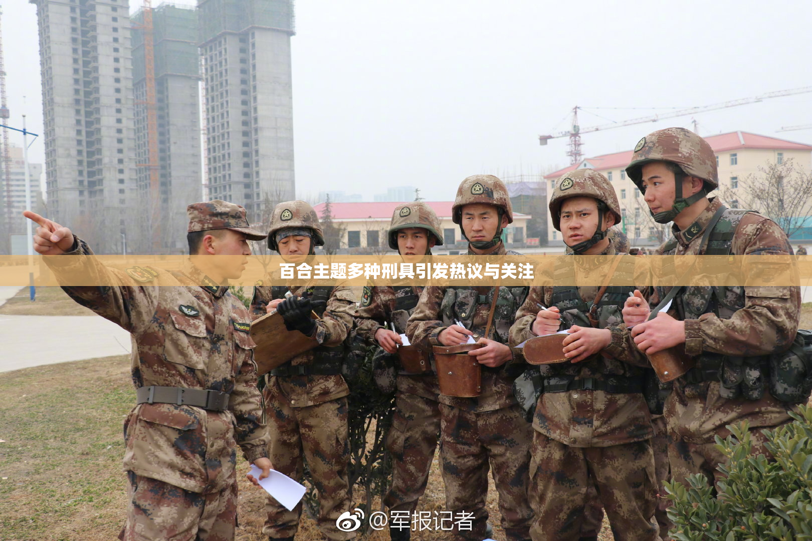 百合主题多种刑具引发热议与关注