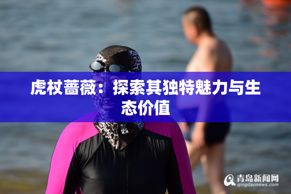 虎杖蔷薇：探索其独特魅力与生态价值