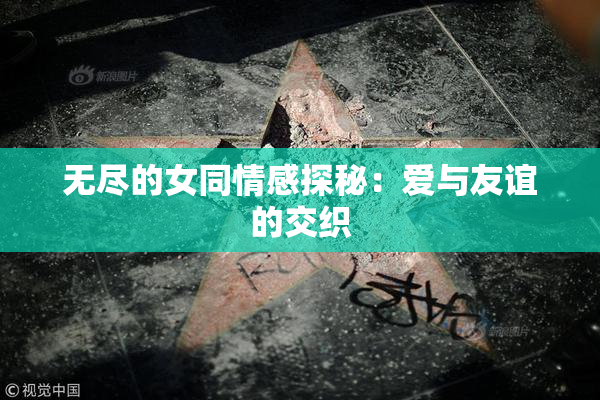无尽的女同情感探秘：爱与友谊的交织