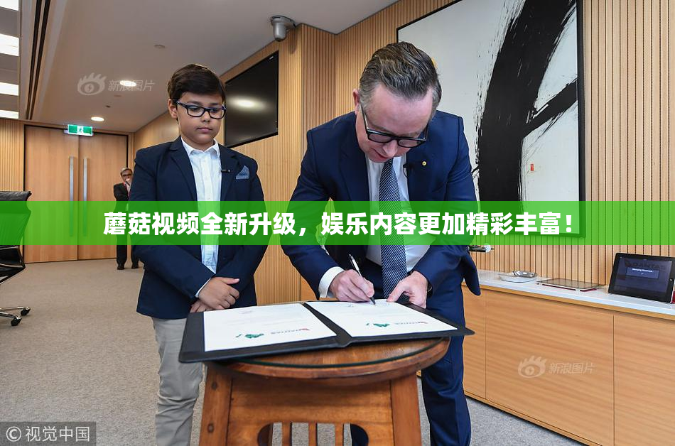 蘑菇视频全新升级，娱乐内容更加精彩丰富！
