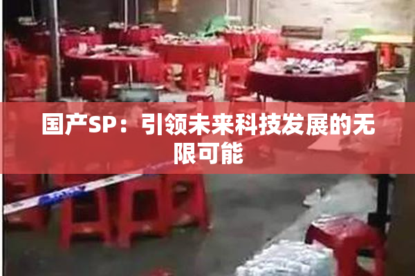 国产SP：引领未来科技发展的无限可能
