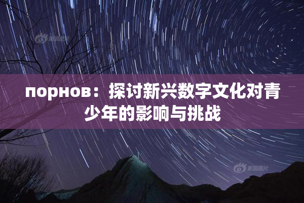порнов：探讨新兴数字文化对青少年的影响与挑战