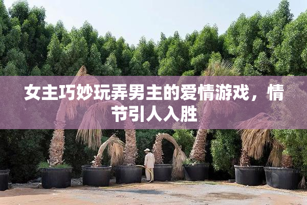 女主巧妙玩弄男主的爱情游戏，情节引人入胜
