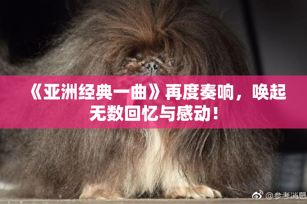 《亚洲经典一曲》再度奏响，唤起无数回忆与感动！