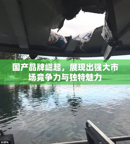 国产品牌崛起，展现出强大市场竞争力与独特魅力