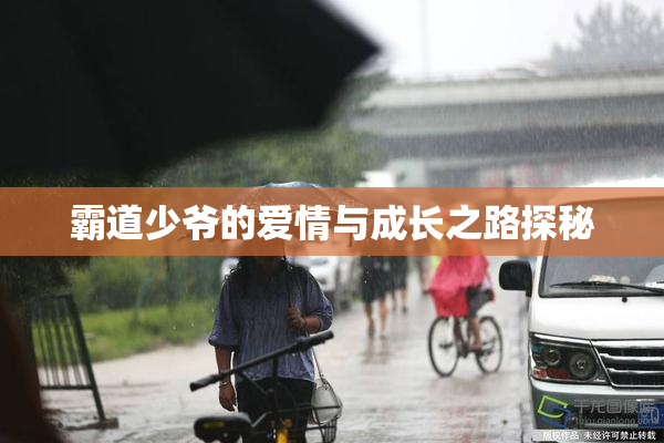 霸道少爷的爱情与成长之路探秘