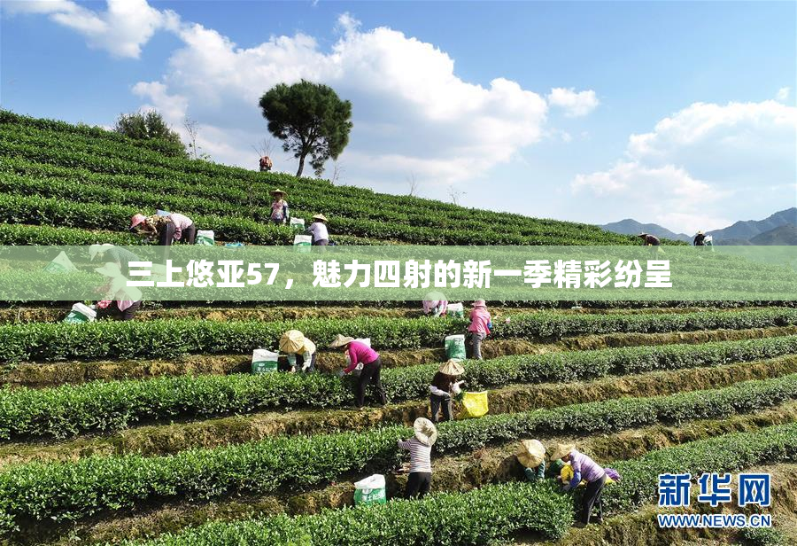 三上悠亚57，魅力四射的新一季精彩纷呈