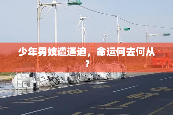 少年男妓遭逼迫，命运何去何从？