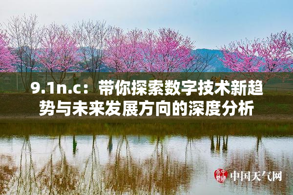 9.1n.c：带你探索数字技术新趋势与未来发展方向的深度分析