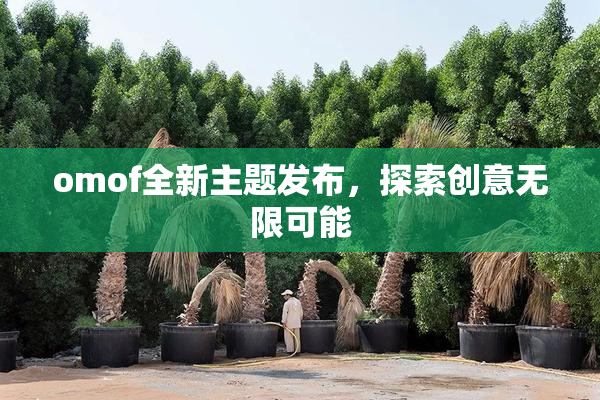 omof全新主题发布，探索创意无限可能