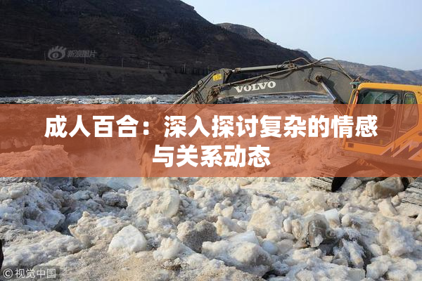 成人百合：深入探讨复杂的情感与关系动态