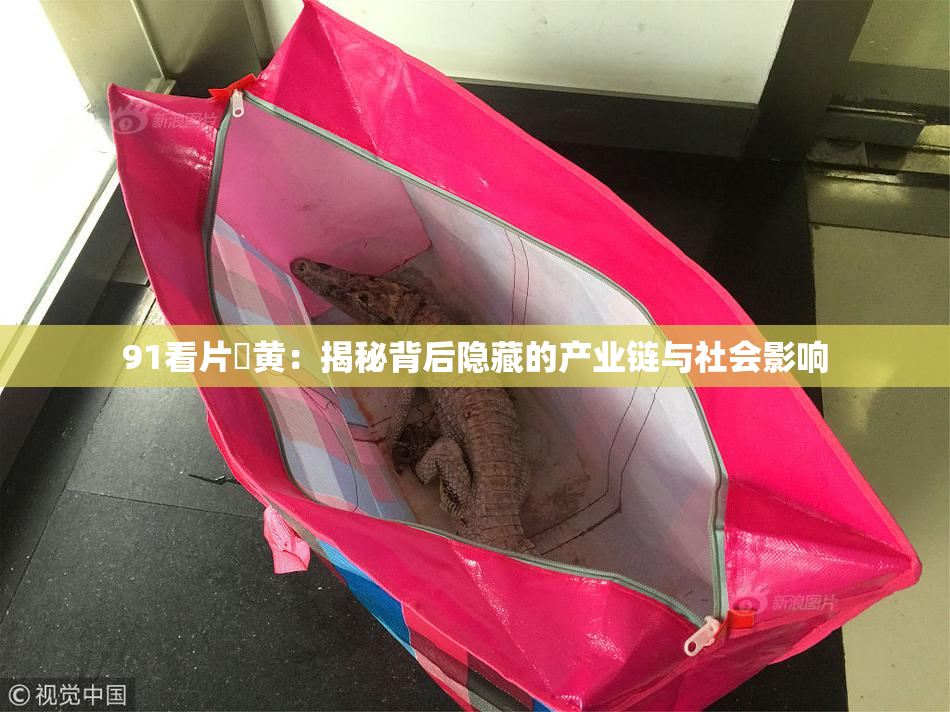 91看片婬黄：揭秘背后隐藏的产业链与社会影响