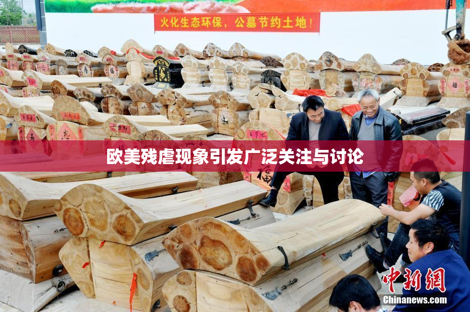 欧美残虐现象引发广泛关注与讨论