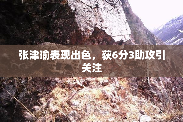张津瑜表现出色，获6分3助攻引关注